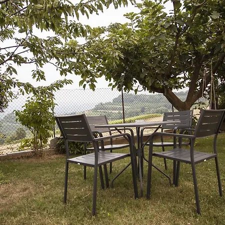 Bed & Breakfast Alba In Langhe